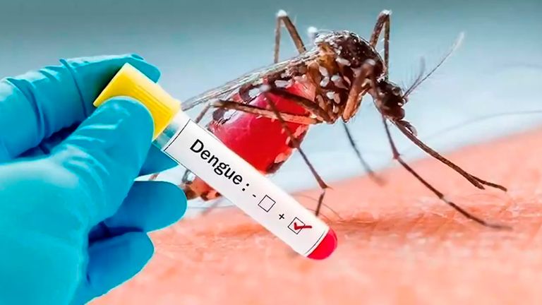 El Dengue está en la región y hay que prevenirlo